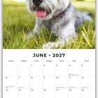 Oben: Ein fröhlicher Hund auf grünem Gras. Unten: Kalender für Juni 2027 mit wichtigen Feiertagen und Platz für Notizen.