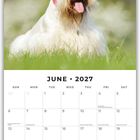 Text: "June 2027". Darunter ein Monatskalender. Oberhalb ein weißer Hund im Gras mit flauschigem Fell.