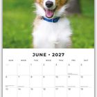 Kalenderseite für Juni 2027. Ein fröhlicher Hund mit braun-weißem Fell im Vordergrund.