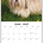 "June 2027" steht oben. Ein Kalenderblatt mit Tagen und Ereignissen darauf. Oberhalb des Kalenders ist ein flauschiger Hund im Gras.