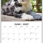 Text: "June 2027" und Kalendertage. Oben liegt ein schwarz-weißer Hund auf Holz, mit unscharfem, blühendem Garten im Hintergrund.