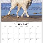 Juni 2027 Kalender. Oben spielt ein weißer Hund mit einem Ball am Strand. Darunter Kalenderdaten und Feiertage.