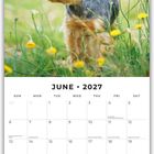 „June 2027“ steht oben. Darunter ist ein kleiner Hund in einem Feld mit gelben Blumen.