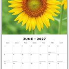Kalenderseite für Juni 2027. Oben eine große Sonnenblume mit gelben Blütenblättern und grüner Mitte.