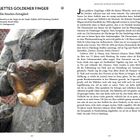 **JETTES GOLDENER FINGER**

**Ein bisschen Extraglück**

Standort: Treppe bei Teufelsbrück, Hamburg (Stadtteil Neustadt)

Text beschreibt, dass der goldene Finger von Jette Wünsche erfüllen soll, wenn man ihn berührt.