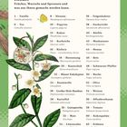 Inhalt: Liste von Pflanzen mit Seitenzahlen und lateinischen Namen. Links eine Illustration mit blühenden Zweigen.