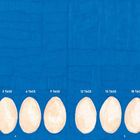 "0 TAGE, 3 TAGE, 6 TAGE, 9 TAGE, 12 TAGE, 15 TAGE, 18 TAGE, 21 TAGE" und "KNACK". Acht Eier in verschiedenen Stadien.