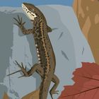 Illustration einer Eidechse auf einem Felsen, umgeben von bunten Blättern und einem blauen Himmel.