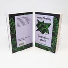 Zwei Bücher mit lila und schwarzem Cover, grüner Illustration, Titel "Frankenstein" von Mary Shelley und einem Nachwort.