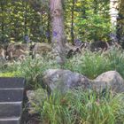 Auf der linken Seite steht: "Was für den Maler die Farben, sind für den Gärtner die Stauden." Rechts eine grüne Gartenlandschaft.