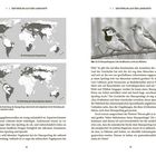 "Der Sperling auf der Landkarte" und "Ein Haussperlingspaar. Links das Männchen, rechts das Weibchen." Zwei Karten zeigen die Verbreitung des Haussperlings und indoeuropäischer Sprachen.