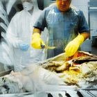 Ein Mann in Schutzkleidung und gelben Handschuhen seziert einen Körper, diverse Werkzeuge liegen auf einem Tisch.