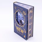 Auf einem Buchcover steht "LILLY LUCAS" und "NEW Promises". Eine Illustration zeigt ein verschneites Haus vor Bergen.