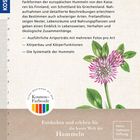 „Die Arten Europas“ erklärt Vielfalt europäischer Hummeln. Darstellung zeigt Teil einer Blume und ein Kosmos-Logo.