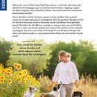 REIN IN DIE LEICHTIGKEIT. Frau in weißem Oberteil läuft fröhlich mit drei Hunden an Sonnenblumen vorbei.