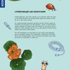 Text: "Gemüseparadies auf kleinem Raum..."
Illustrationen: Erbsenschote, Marienkäfer, Blume, Wurm, Gartenschlauch, zwei skizzierte Rüben.