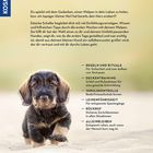 Welpen-Basics: Auswahl, Erziehung, Training. Ein kleiner Hund läuft im Sand, darunter Themen wie Regeln, Impulskontrolle.