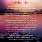 Ein pinker Himmel über dem Meer. Text über eine Familiengeschichte und ein Geheimnis im Nordwind.
