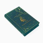 "Die Schatzinsel" von Robert Louis Stevenson. Grünes Buchcover mit goldener Karte und Segelschiff.