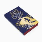Auf dem Einband steht "MARK TWAIN TOM SAWYERS ABENTEUER". Eine Silhouette eines Jungen mit Laterne in Natur.