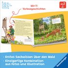 "Mit 11 Vorlesegeschichten" in Rot. Buch zeigt detailreiche Waldszenen mit Kindern, Förster, und Rehen. Klar gezeichnete Bilder.