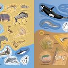 Tiernamen: Zebra, Flusspferd, Gazelle, Gnu, Löwe, Elefant, Straß, Kamel, Pinguine, Schwertwal, Robbe, Seehund. Illustration.