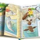 „Was mögen die Robben?“ Zwei Kinder betrachten Robben im Wasser. Ein Pfleger füttert Seelöwen. Fröhliche, farbenfrohe Illustration.