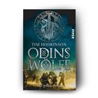 "ODINS WÖLFE: Eine Wikinger Saga. Tim Hodkinson. Krieger in Nebel, im Hintergrund blau-grüner Himmel mit Runen."