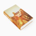 Buchumschlag: "Jáchym Topol - Die Hölle gibt es nicht. Roman. Suhrkamp". Zeigt verschwommene Menschen in warmen Tönen.