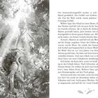 Text: Das Sommerferiengefühl machte es sich in Willows Bauch gemütlich. Illustration: Ein Mädchen blickt in den Waldhimmel.