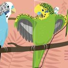 Text: "Wellensittiche fühlen sich zusammen mit anderen am wohlsten. Sie kuscheln auch sehr gern!" Illustration: Bunte Wellensittiche auf einem Ast.