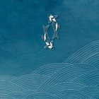 Text: "vorläufiges Cover". Illustration: Zwei stilisierte Koi-Fische schwimmen über blauen Wellenlinien.