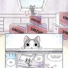 Kapitel 1: Chi macht Bekanntschaften. Kisten mit "UMZUG". Eine illustrierte graue Katze schaut neugierig aus einer Kiste.