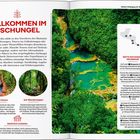 WILLKOMMEN IM DSCHUNGEL. Beste Dschungel-Erlebnisse. Bilder von üppigen Wäldern und Kalksteinbecken. Eine Karte von Zentralamerika.