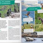 "Tiere & Pflanzen. *Hinein ins Naturparadies.* 5 typische Tiere: Renn, Seeadler, Elch, Papageitaucher, Seehund."