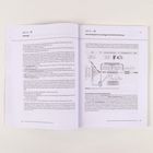 INFO 12: Ätiologie, INFO 13: Neurobiologische Grundlagen der Reizverarbeitung. Grafik zeigt Verarbeitung von Reizen.