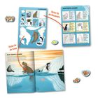 "Das Südpolarmeer", Sticker-Bogen und Steckbriefe verschiedener Tiere, Illustration von Tieren auf Eisschollen.