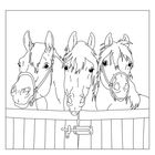 Drei Pferde blicken über ein Tor. Es handelt sich um eine schwarz-weiße Illustration ohne Text.