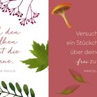Links: "Nach den Wolken kommt die Sonne." – Alanus ab Insulis. Rechts: "Versuche stets, ein Stückchen Himmel über deinem Leben frei zu halten." – Marcel Proust. Links grüne Blätter, rechts rote Blätter und Pilze.