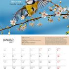 Kalenderblatt Januar 2027, oben Blaumeise auf blühendem Ast vor blauem Himmel.