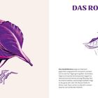 "DAS ROTKÖHLCHEN" oben. Links bunte Illustration eines Vogels mit Rotkohlflügeln. Rechts violette Zeichnung im Flug.