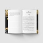 Offenes Buch mit Kapitelüberschrift "XIX. Ein Blinder Passagier" auf der rechten Seite. Dekorative Ränder.