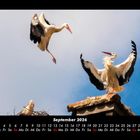 Cover/Product zoom