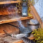 Kein Text vorhanden. Auf einer Holztreppe stehen eine antike Laterne, Federn, ein Räuchergefäß mit aufsteigendem Rauch und Zweige.