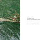 «Das Leben ist getanzt schöner.» Seraina Tall, Tänzerin, beschreibt Tanz als verbindend und lebendig. Links: Frau im Wasser.