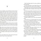 Seitenzahlen unten: 11 und 12. Text handelt von Erinnerungen an San Diego, Sorge um Joey, und Drogenproblemen in der Familie.