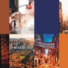 Es sind einige Straßenschilder, Gebäude in der Abenddämmerung, Central Park von oben sowie eine Chinatown-Straße bei Sonnenaufgang.