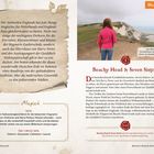 "Musterlayout" oben rechts. Der Text beschreibt magische Orte in Südwestengland für Fans von Harry Potter, wie Drehorte und Landschaften. Links eine braune Textbox, rechts ein Foto mit Frau, die auf Kreidefelsen schaut.