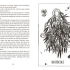 Text auf der rechten Seite: "BLUTBEERE". Daneben eine detaillierte botanische Illustration mit Blättern und Beeren. Links Textausschnitt aus einem Buch.