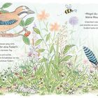 Text: „Ich schenk ihr eine Feder“, „Magst du eine haben, kleine Maus?“ Illustration: Eichelhäher, Maus mit Feder, Blumen, Wiese.